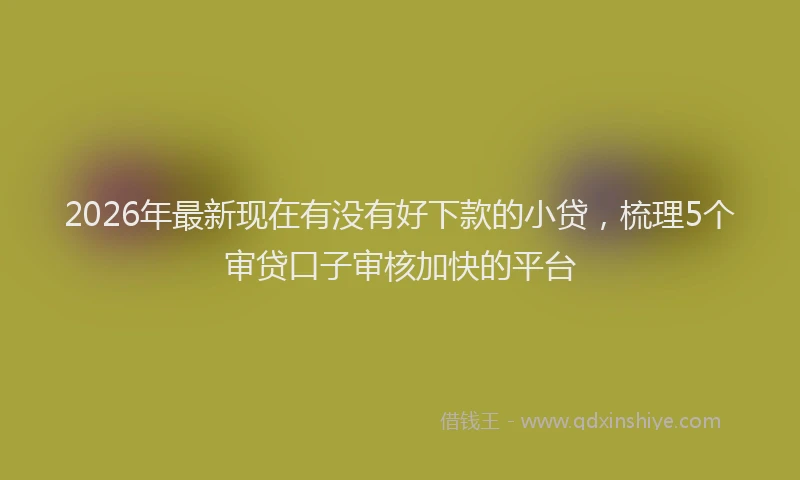 2026年最新现在有没有好下款的小贷，梳理5个审贷口子审核加快的平台