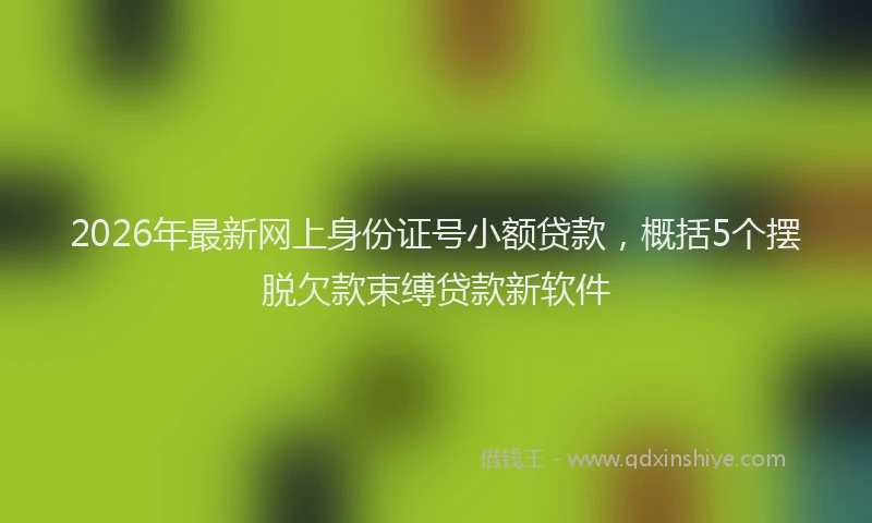 2026年最新网上身份证号小额贷款，概括5个摆脱欠款束缚贷款新软件