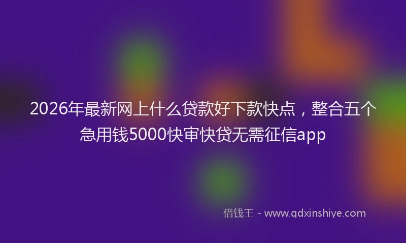 2026年最新网上什么贷款好下款快点，整合五个急用钱5000快审快贷无需征信app