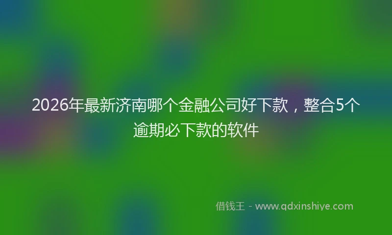 2026年最新济南哪个金融公司好下款，整合5个逾期必下款的软件