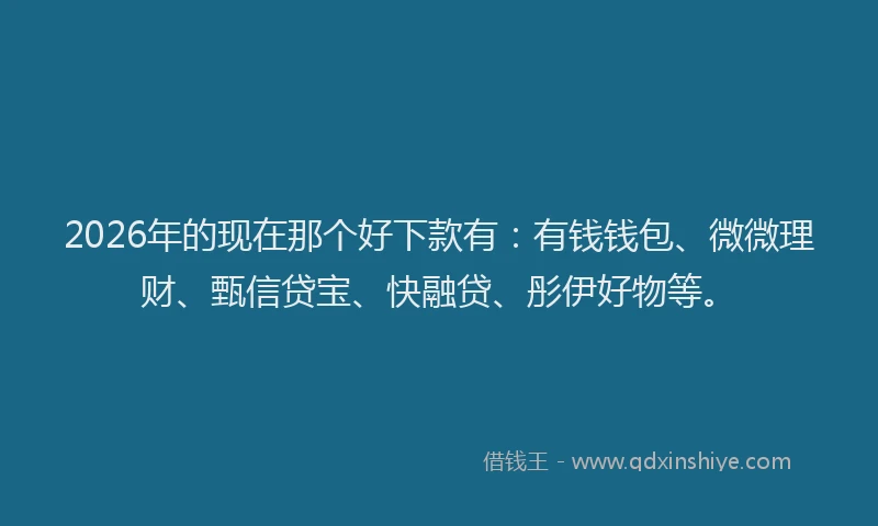 2026年的现在那个好下款有：有钱钱包、微微理财、甄信贷宝、快融贷、彤伊好物等。