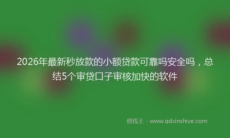 2026年最新秒放款的小额贷款可靠吗安全吗，总结5个审贷口子审核加快的软件