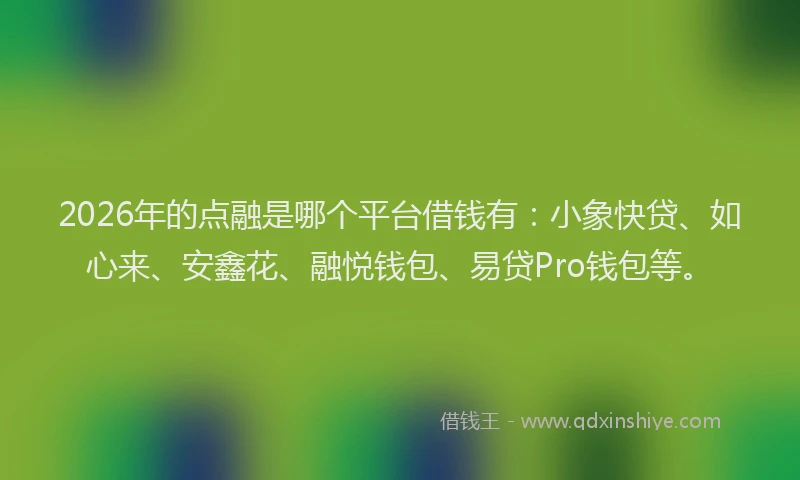 2026年的点融是哪个平台借钱有：小象快贷、如心来、安鑫花、融悦钱包、易贷Pro钱包等。