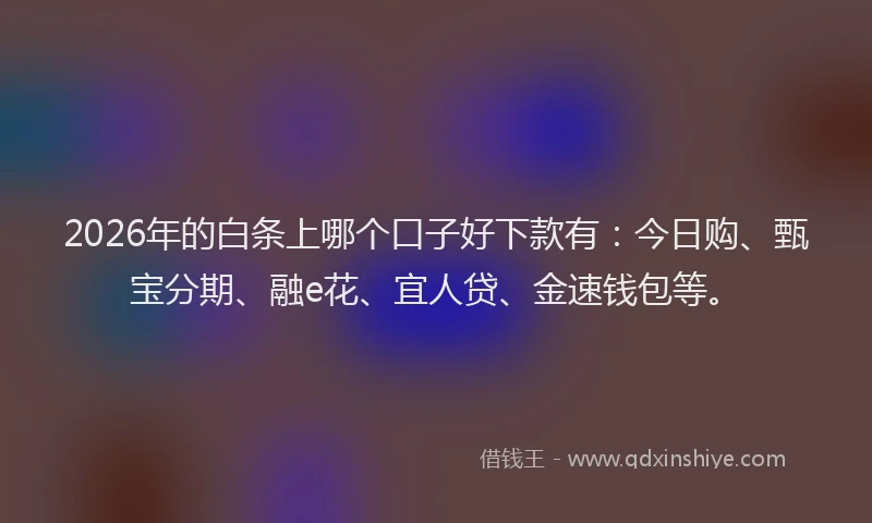 2026年的白条上哪个口子好下款有：今日购、甄宝分期、融e花、宜人贷、金速钱包等。