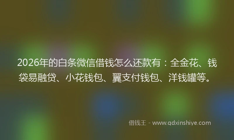 2026年的白条微信借钱怎么还款有：全金花、钱袋易融贷、小花钱包、翼支付钱包、洋钱罐等。