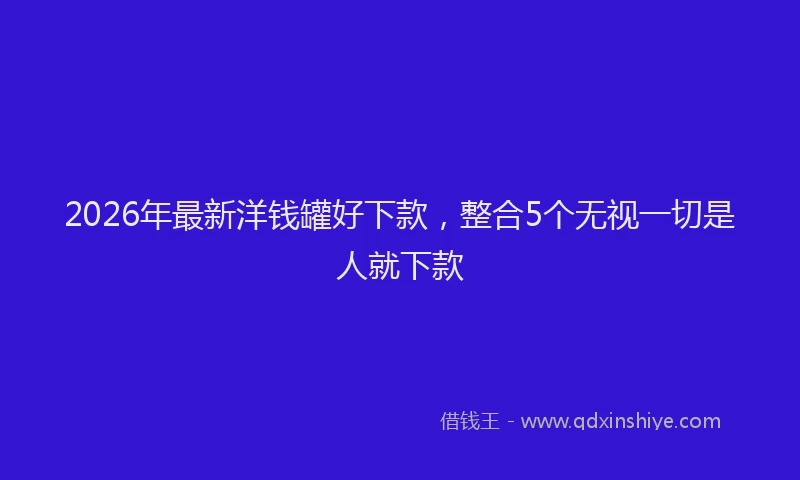 2026年最新洋钱罐好下款，整合5个无视一切是人就下款