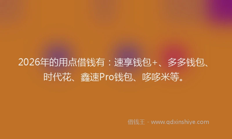2026年的用点借钱有：速享钱包+、多多钱包、时代花、鑫速Pro钱包、哆哆米等。