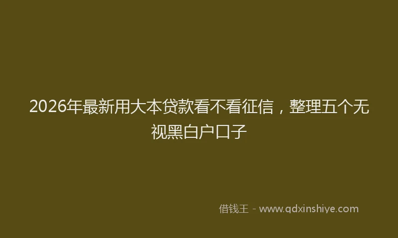 2026年最新用大本贷款看不看征信，整理五个无视黑白户口子