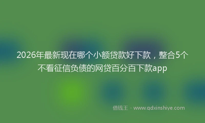 2026年最新现在哪个小额贷款好下款，整合5个不看征信负债的网贷百分百下款app