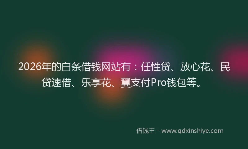 2026年的白条借钱网站有：任性贷、放心花、民贷速借、乐享花、翼支付Pro钱包等。