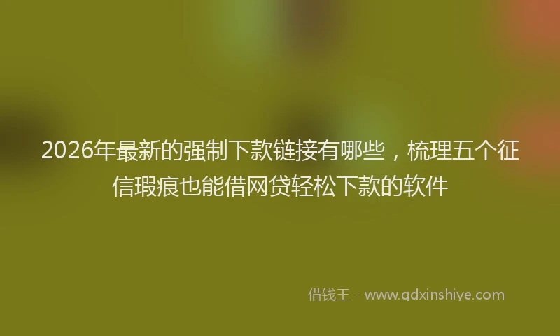 2026年最新的强制下款链接有哪些，梳理五个征信瑕疵也能借网贷轻松下款的软件