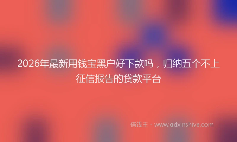 2026年最新用钱宝黑户好下款吗，归纳五个不上征信报告的贷款平台