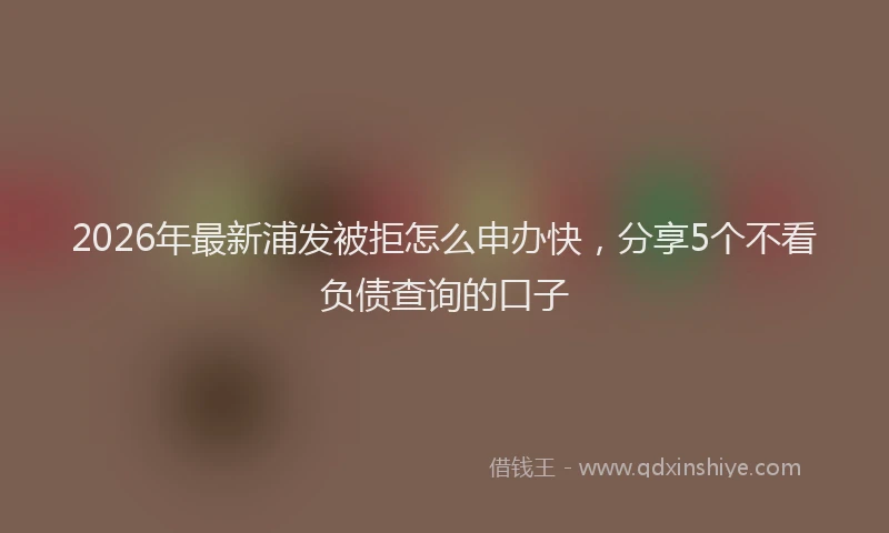 2026年最新浦发被拒怎么申办快，分享5个不看负债查询的口子