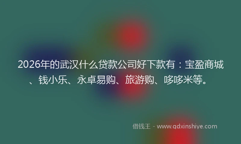 2026年的武汉什么贷款公司好下款有：宝盈商城、钱小乐、永卓易购、旅游购、哆哆米等。