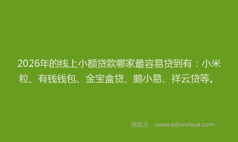 2026年的线上小额贷款哪家最容易贷到有：小米粒、有钱钱包、金宝盒贷、鹅小易、祥云贷等。