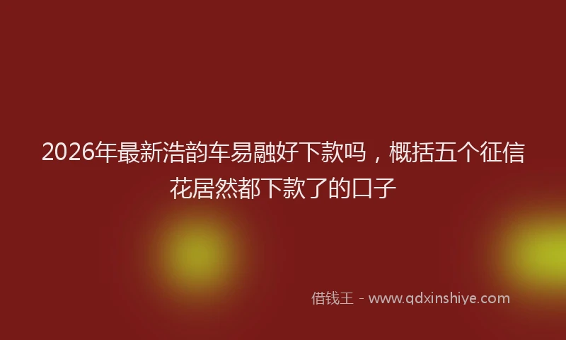 2026年最新浩韵车易融好下款吗，概括五个征信花居然都下款了的口子