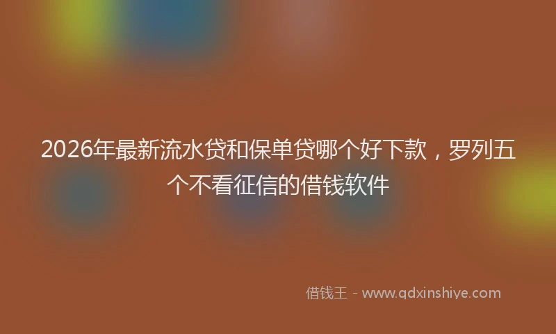 2026年最新流水贷和保单贷哪个好下款，罗列五个不看征信的借钱软件
