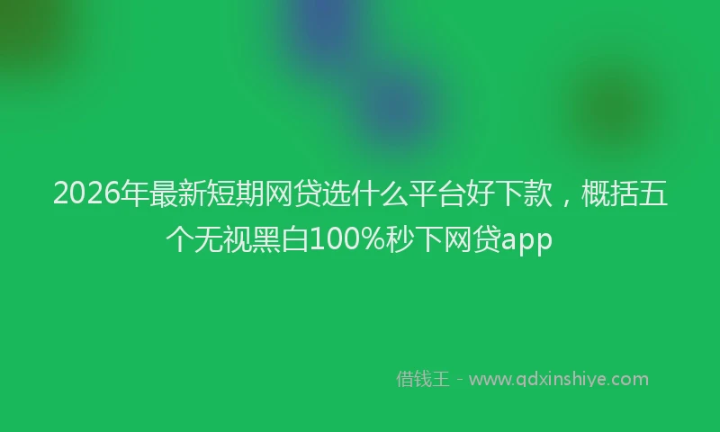 2026年最新短期网贷选什么平台好下款，概括五个无视黑白100%秒下网贷app