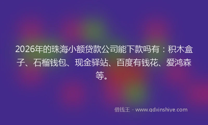 2026年的珠海小额贷款公司能下款吗有：积木盒子、石榴钱包、现金驿站、百度有钱花、爱鸿森等。