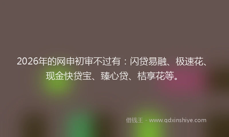 2026年的网申初审不过有：闪贷易融、极速花、现金快贷宝、臻心贷、桔享花等。