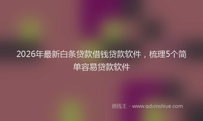 2026年最新白条贷款借钱贷款软件，梳理5个简单容易贷款软件