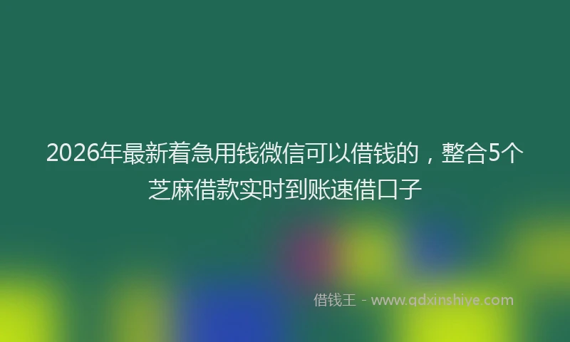 2026年最新着急用钱微信可以借钱的，整合5个芝麻借款实时到账速借口子
