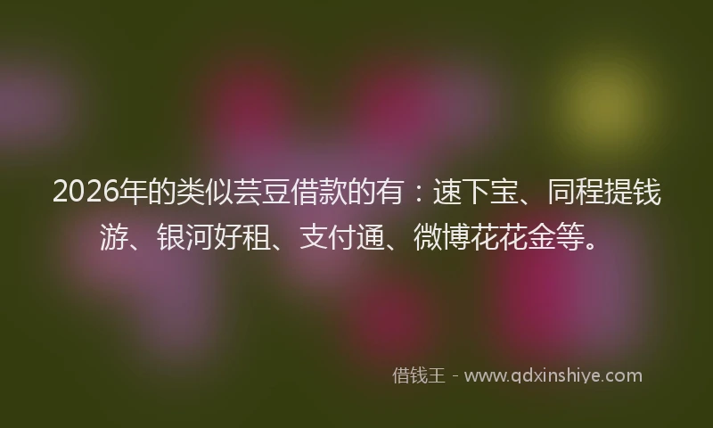 2026年的类似芸豆借款的有：速下宝、同程提钱游、银河好租、支付通、微博花花金等。
