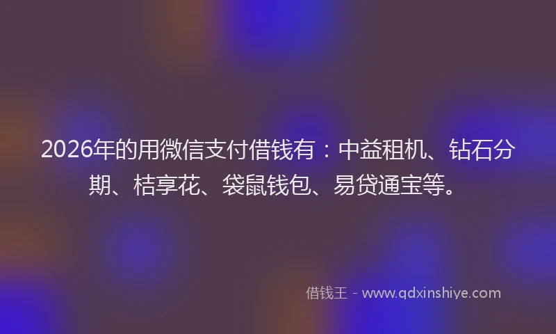 2026年的用微信支付借钱有：中益租机、钻石分期、桔享花、袋鼠钱包、易贷通宝等。
