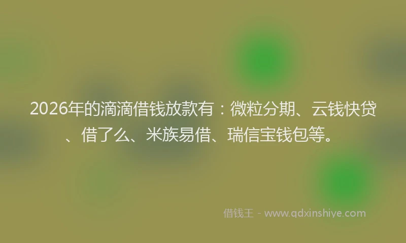 2026年的滴滴借钱放款有：微粒分期、云钱快贷、借了么、米族易借、瑞信宝钱包等。