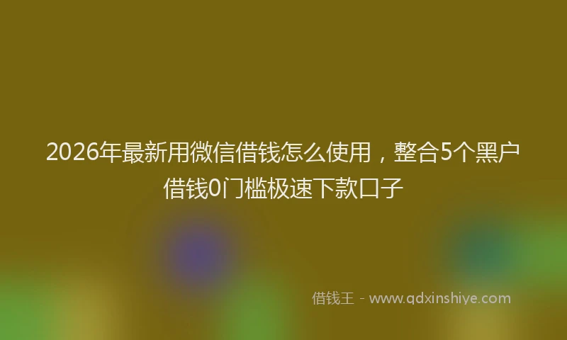 2026年最新用微信借钱怎么使用，整合5个黑户借钱0门槛极速下款口子