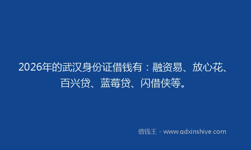 2026年的武汉身份证借钱有：融资易、放心花、百兴贷、蓝莓贷、闪借侠等。