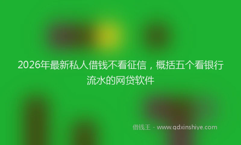 2026年最新私人借钱不看征信，概括五个看银行流水的网贷软件