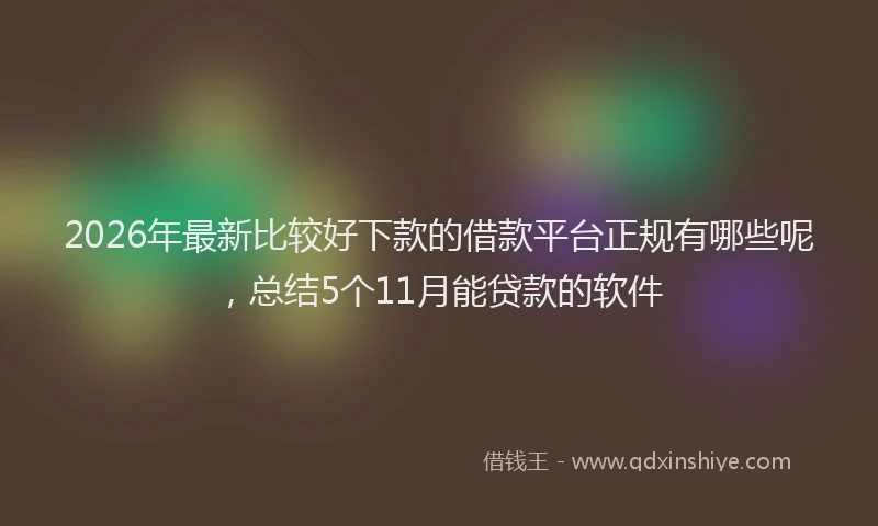 2026年最新比较好下款的借款平台正规有哪些呢，总结5个11月能贷款的软件