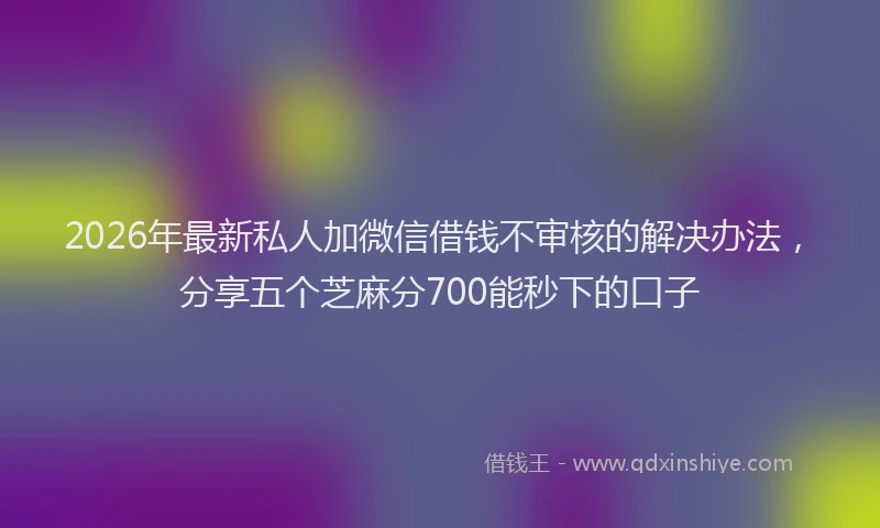 2026年最新私人加微信借钱不审核的解决办法，分享五个芝麻分700能秒下的口子