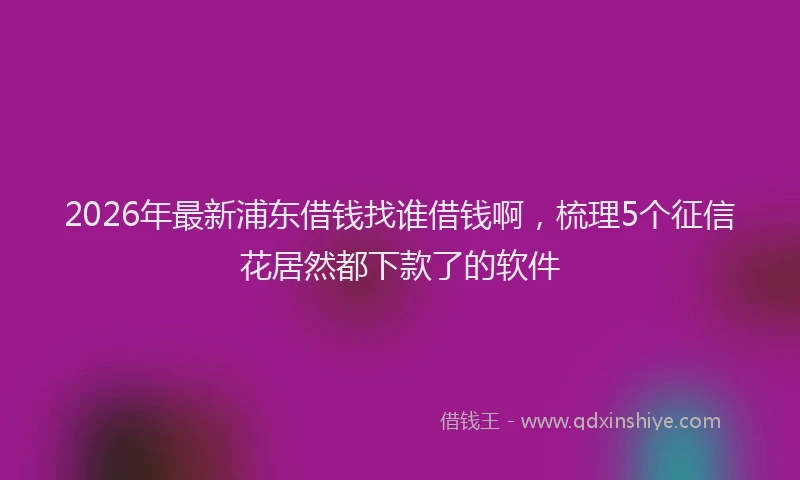 2026年最新浦东借钱找谁借钱啊，梳理5个征信花居然都下款了的软件