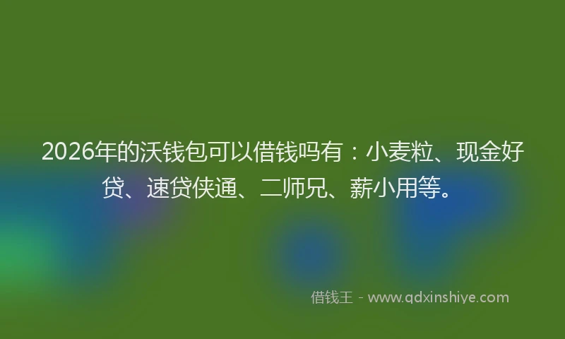 2026年的沃钱包可以借钱吗有：小麦粒、现金好贷、速贷侠通、二师兄、薪小用等。