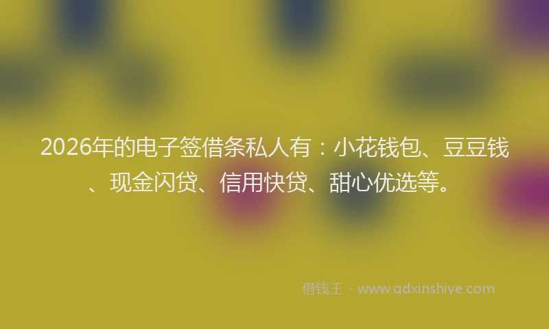 2026年的电子签借条私人有：小花钱包、豆豆钱、现金闪贷、信用快贷、甜心优选等。