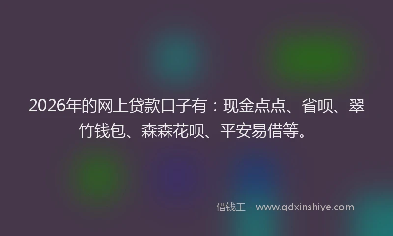 2026年的网上贷款口子有：现金点点、省呗、翠竹钱包、森森花呗、平安易借等。