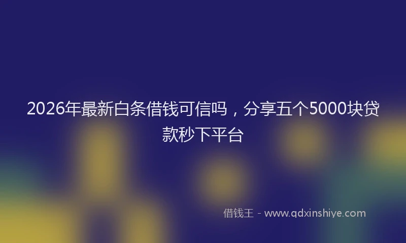 2026年最新白条借钱可信吗，分享五个5000块贷款秒下平台