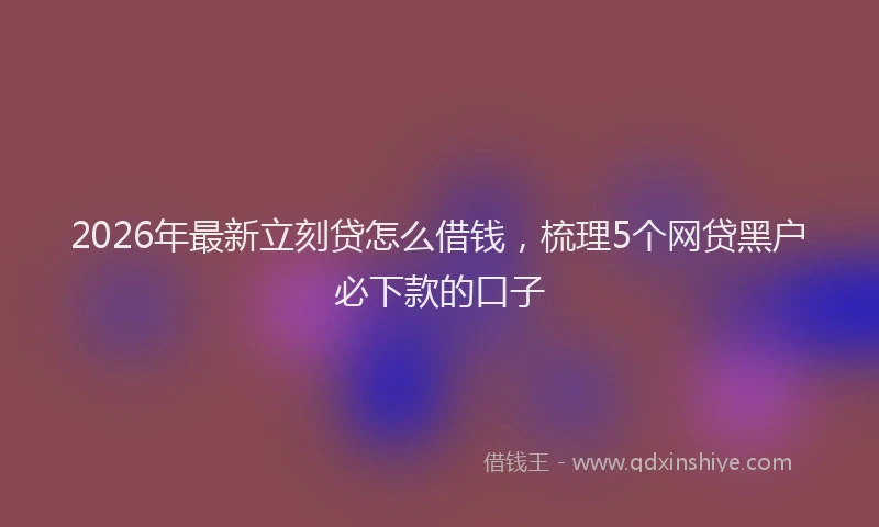 2026年最新立刻贷怎么借钱，梳理5个网贷黑户必下款的口子