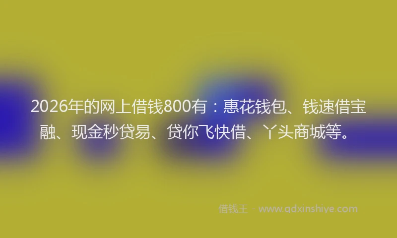 2026年的网上借钱800有：惠花钱包、钱速借宝融、现金秒贷易、贷你飞快借、丫头商城等。