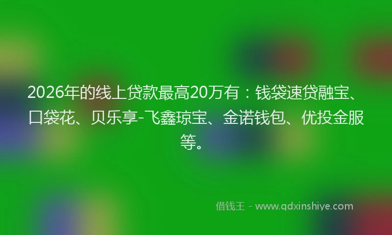 2026年的线上贷款最高20万有：钱袋速贷融宝、口袋花、贝乐享-飞鑫琼宝、金诺钱包、优投金服等。