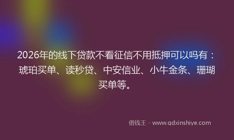 2026年的线下贷款不看征信不用抵押可以吗有：琥珀买单、读秒贷、中安信业、小牛金条、珊瑚买单等。
