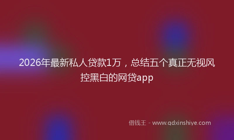 2026年最新私人贷款1万，总结五个真正无视风控黑白的网贷app
