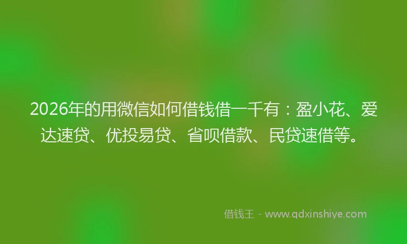 2026年的用微信如何借钱借一千有：盈小花、爱达速贷、优投易贷、省呗借款、民贷速借等。