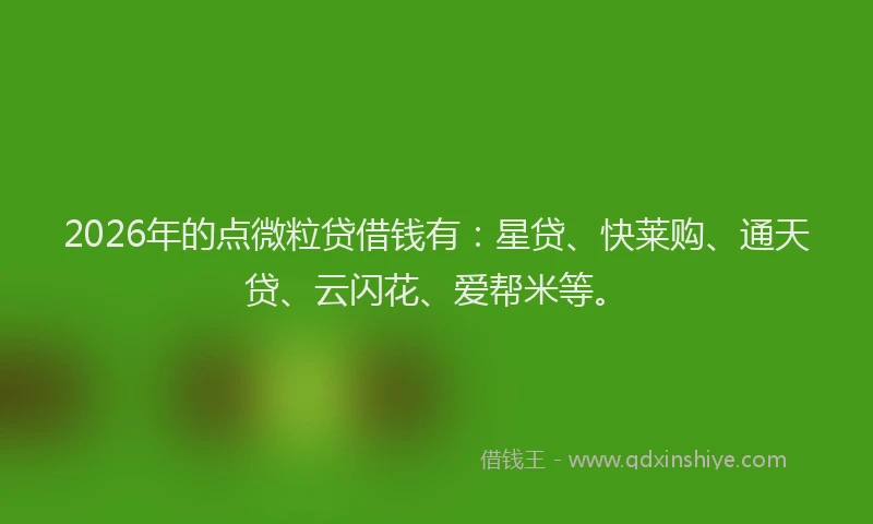 2026年的点微粒贷借钱有：星贷、快莱购、通天贷、云闪花、爱帮米等。