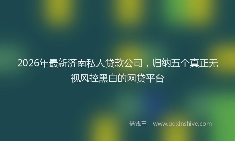 2026年最新济南私人贷款公司，归纳五个真正无视风控黑白的网贷平台