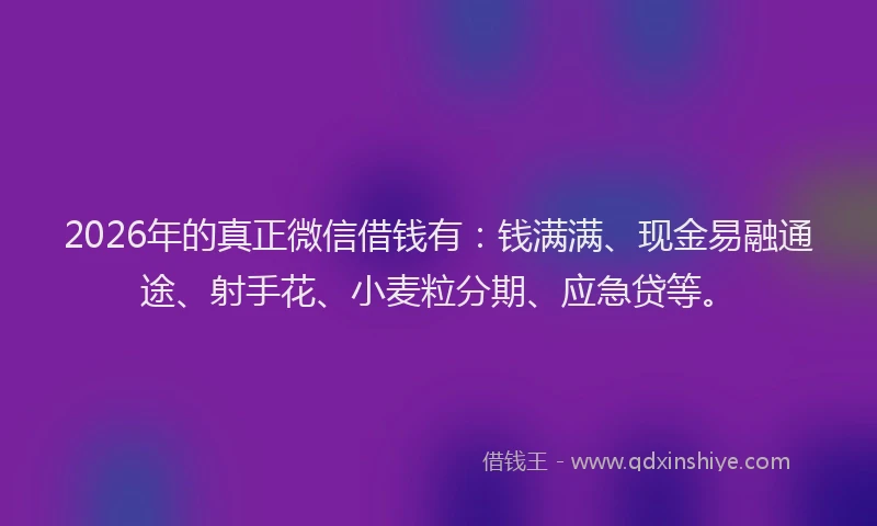 2026年的真正微信借钱有：钱满满、现金易融通途、射手花、小麦粒分期、应急贷等。