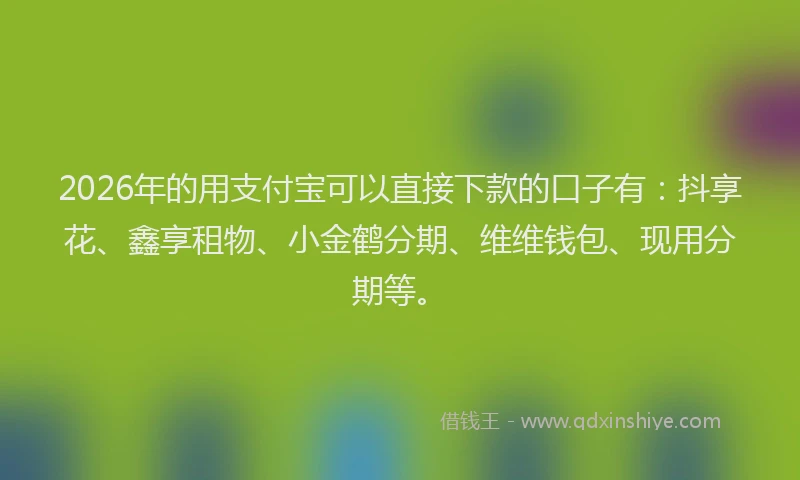 2026年的用支付宝可以直接下款的口子有：抖享花、鑫享租物、小金鹤分期、维维钱包、现用分期等。