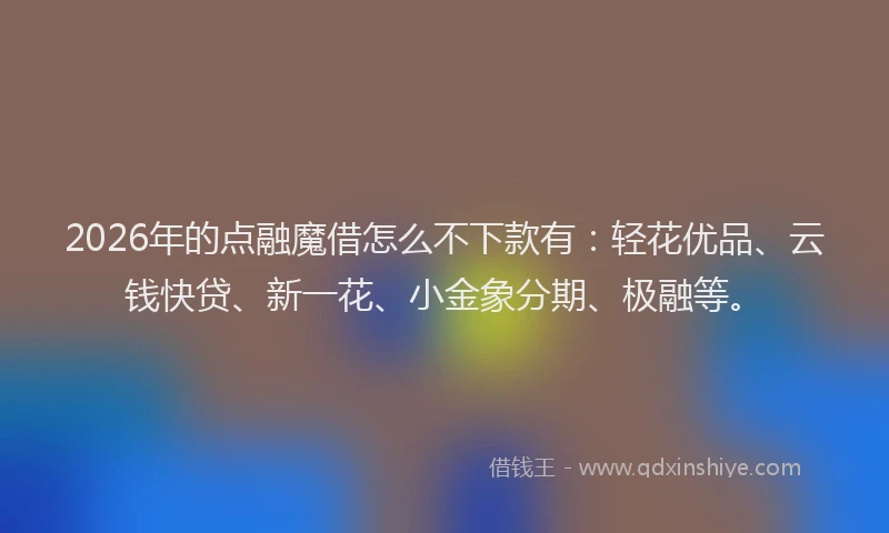 2026年的点融魔借怎么不下款有：轻花优品、云钱快贷、新一花、小金象分期、极融等。